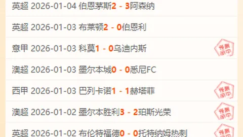 马耳他文化中心：新春庙会上的通信文化探索之旅